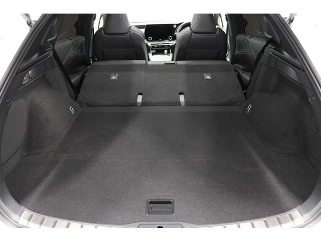 レクサス ＲＸ５００ｈ ５００Ｈ Ｆスポーツ パフォーマンス ４ＷＤ R5年 (東海) 99