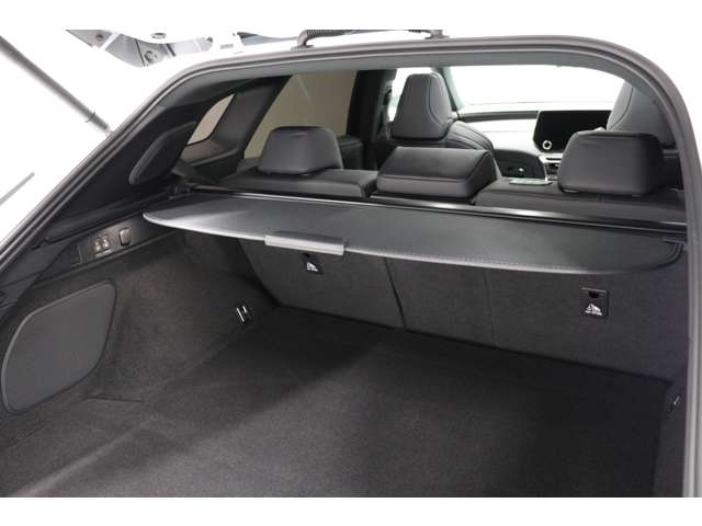 レクサス ＲＸ５００ｈ ５００Ｈ Ｆスポーツ パフォーマンス ４ＷＤ R5年 (東海) 99