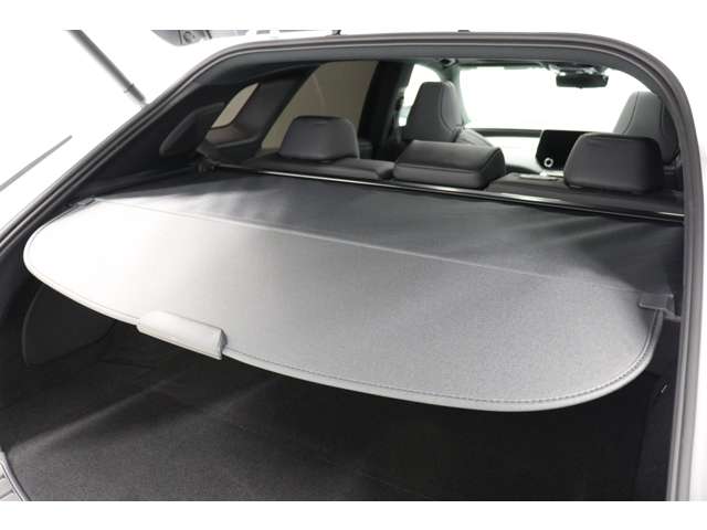 レクサス ＲＸ５００ｈ ５００Ｈ Ｆスポーツ パフォーマンス ４ＷＤ R5年 (東海) 99