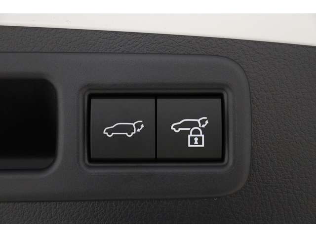 レクサス ＲＸ５００ｈ ５００Ｈ Ｆスポーツ パフォーマンス ４ＷＤ R5年 (東海) 99