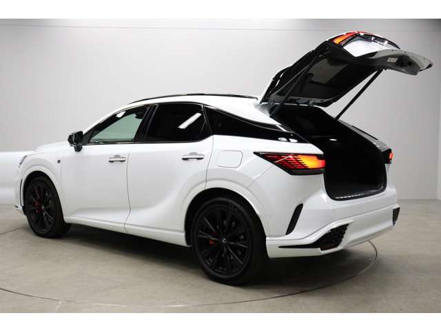 レクサス ＲＸ５００ｈ ５００Ｈ Ｆスポーツ パフォーマンス ４ＷＤ R5年 (東海) 99