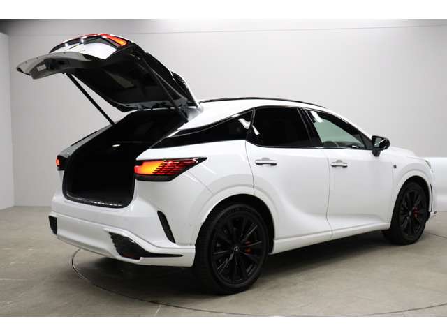 レクサス ＲＸ５００ｈ ５００Ｈ Ｆスポーツ パフォーマンス ４ＷＤ R5年 (東海) 99