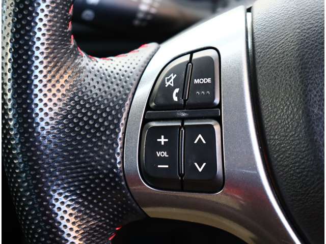 スズキ アルト ワークス ６６０ H28年 (関東) 99