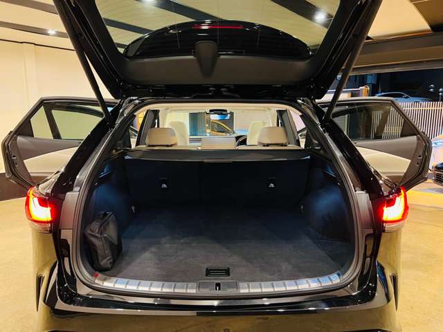 レクサス ＲＸ３５０ バージョンＬ R5年 (東海) 99