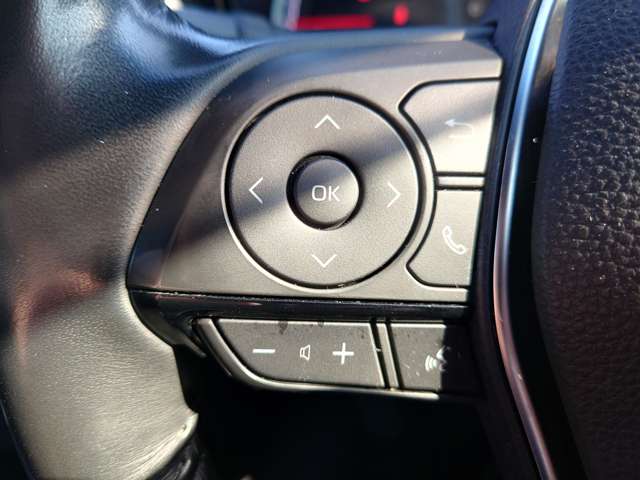 トヨタ クラウン　ハイブリッド ハイブリッド ２．５ ＲＳ アドバンス R1年 (中国) 99