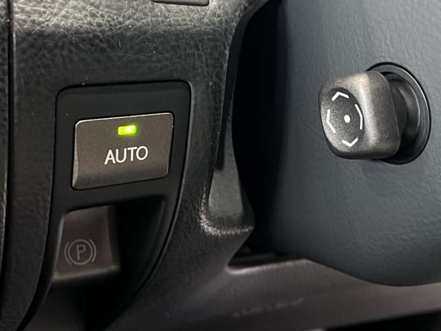 レクサス ＬＳ４６０ バージョンＳＺ H22年 (関東) 99