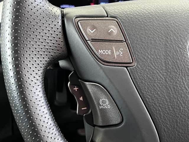 レクサス ＬＳ４６０ バージョンＳＺ H22年 (関東) 99