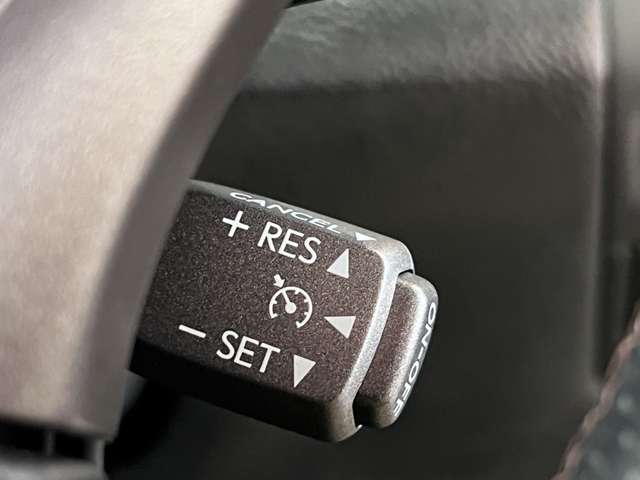 レクサス ＬＳ４６０ バージョンＳＺ H22年 (関東) 99