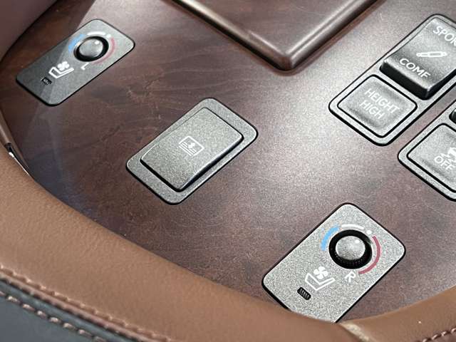 レクサス ＬＳ４６０ バージョンＳＺ H22年 (関東) 99