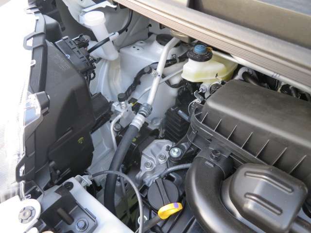 ダイハツ ムーヴ　キャンバス ６６０ ストライプス Ｇ R6年 (関東) 99