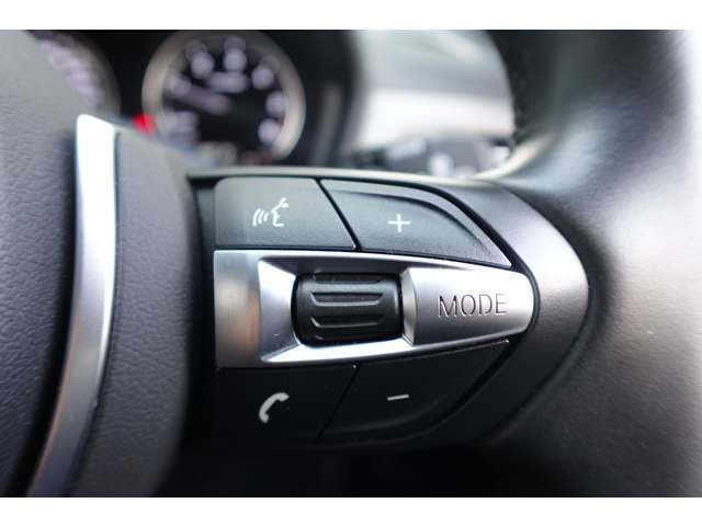 ＢＭＷ Ｘ２ Ｘドライブ１８Ｄ ＭスポーツＸ ディーゼルターボ ４ＷＤ R2年 (近畿) 99