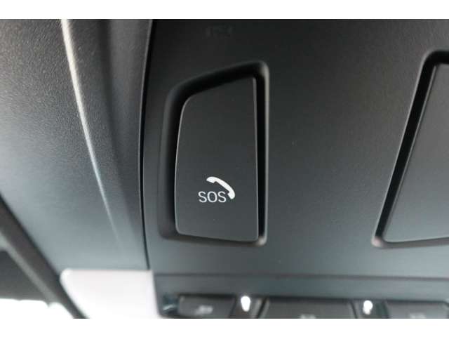 ＢＭＷ Ｘ２ Ｘドライブ１８Ｄ ＭスポーツＸ ディーゼルターボ ４ＷＤ R2年 (近畿) 99