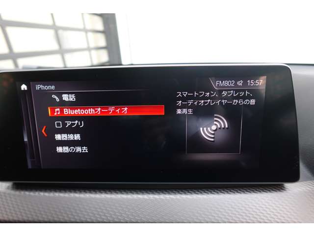 ＢＭＷ Ｘ２ Ｘドライブ１８Ｄ ＭスポーツＸ ディーゼルターボ ４ＷＤ R2年 (近畿) 99