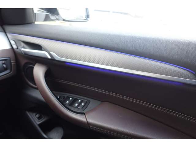 ＢＭＷ Ｘ２ Ｘドライブ１８Ｄ ＭスポーツＸ ディーゼルターボ ４ＷＤ R2年 (近畿) 99