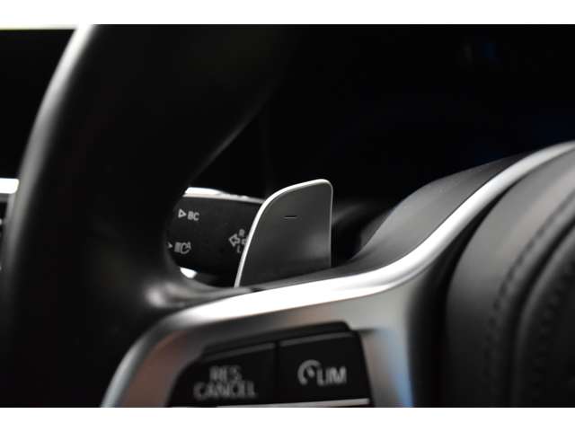 ＢＭＷ ３シリーズ ３２０Ｄ Ｘドライブ Ｍスポーツ ディーゼルターボ ４ＷＤ R4年 (関東) 99