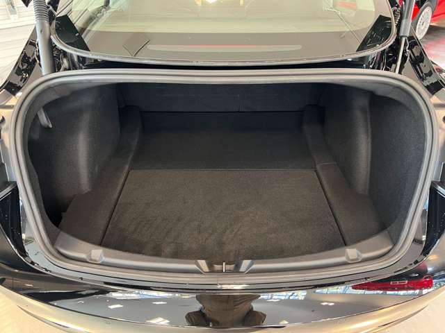 テスラ モデル３ ロングレンジ R3年 (関東) 99