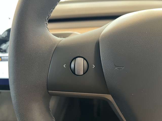 テスラ モデル３ ロングレンジ R3年 (関東) 99