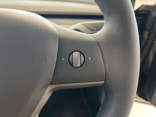 テスラ モデル３ ロングレンジ R3年 (関東) 99