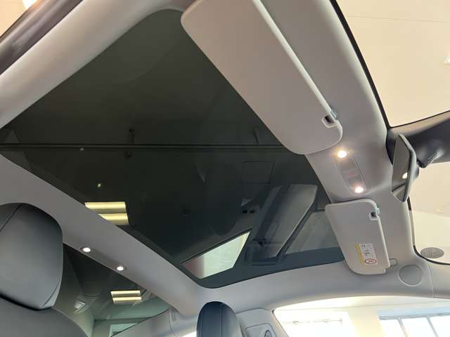 テスラ モデル３ ロングレンジ R3年 (関東) 99