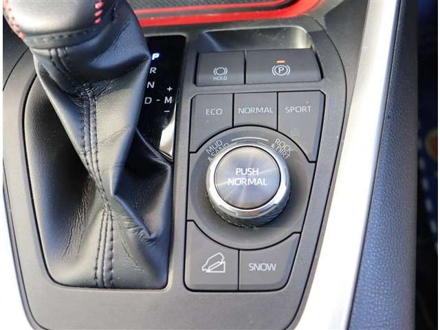 トヨタ ＲＡＶ４ ２．０ アドベンチャー オフロード パッケージ ４ＷＤ R4年 (関東) 99