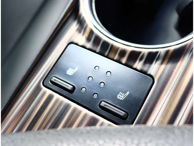 トヨタ カムリ ２．５ Ｇ レザーパッケージ H30年 (関東) 99