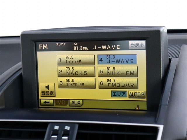 レクサス ＨＳ２５０ｈ バージョンＩ H22年 (関東) 99