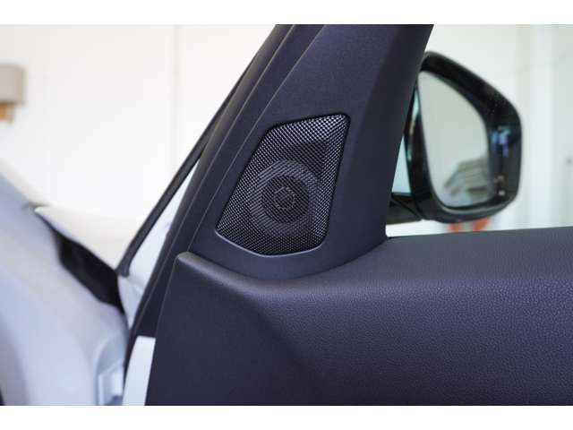 ＢＭＷ ３シリーズ ３２０Ｄ Ｘドライブ Ｍスポーツ ディーゼルターボ ４ＷＤ R6年 (近畿) 99