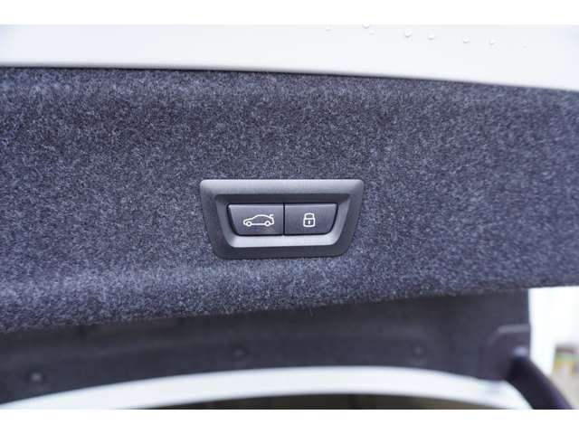 ＢＭＷ ３シリーズ ３２０Ｄ Ｘドライブ Ｍスポーツ ディーゼルターボ ４ＷＤ R6年 (近畿) 99