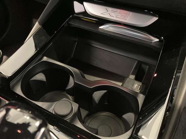 ＢＭＷ Ｘ３ Ｘドライブ２０Ｄ Ｍスポーツ ディーゼルターボ ４ＷＤ R4年 (近畿) 99