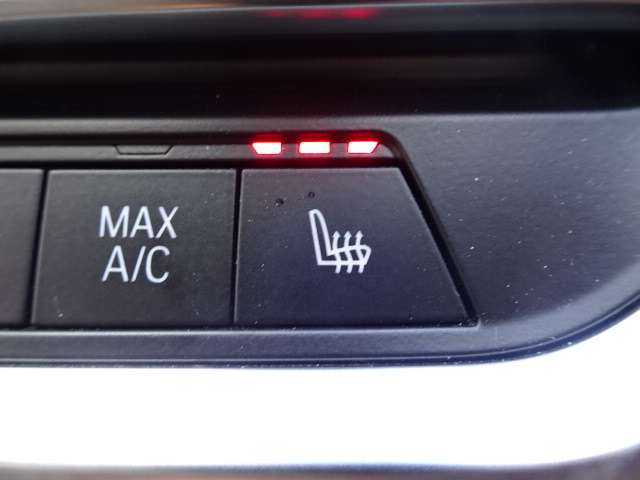 ＢＭＷ ３シリーズ ３１８Ｉ ４０ＴＨ アニバーサリー エディション R3年 (近畿) 99