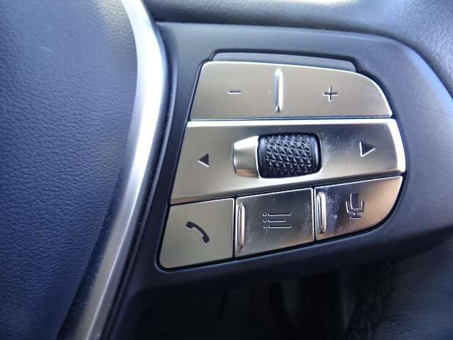 ＢＭＷ ３シリーズ ３１８Ｉ ４０ＴＨ アニバーサリー エディション R3年 (近畿) 99