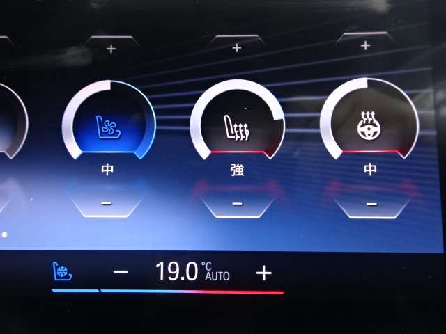 ＢＭＷ Ｘ７ Ｘドライブ４０Ｄ Ｍスポーツ ディーゼルターボ ４ＷＤ R5年 (近畿) 99