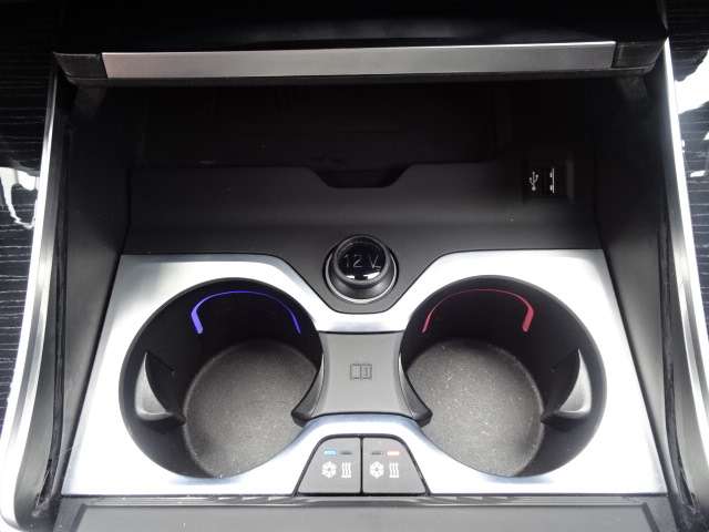 ＢＭＷ Ｘ７ Ｘドライブ４０Ｄ Ｍスポーツ ディーゼルターボ ４ＷＤ R5年 (近畿) 99