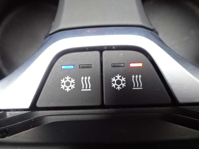 ＢＭＷ Ｘ７ Ｘドライブ４０Ｄ Ｍスポーツ ディーゼルターボ ４ＷＤ R5年 (近畿) 99