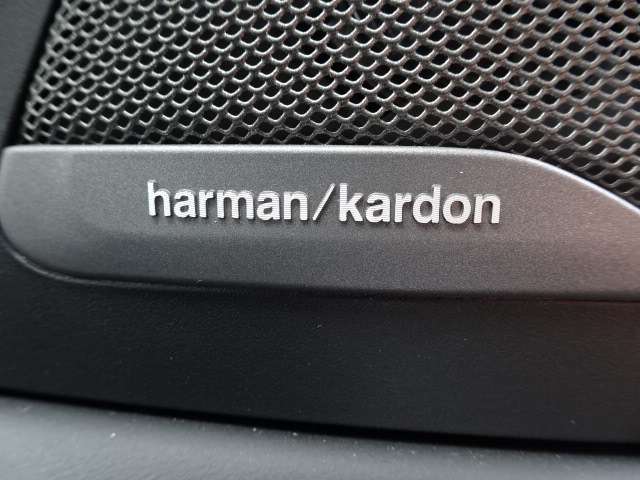 ＢＭＷ Ｘ７ Ｘドライブ４０Ｄ Ｍスポーツ ディーゼルターボ ４ＷＤ R5年 (近畿) 99