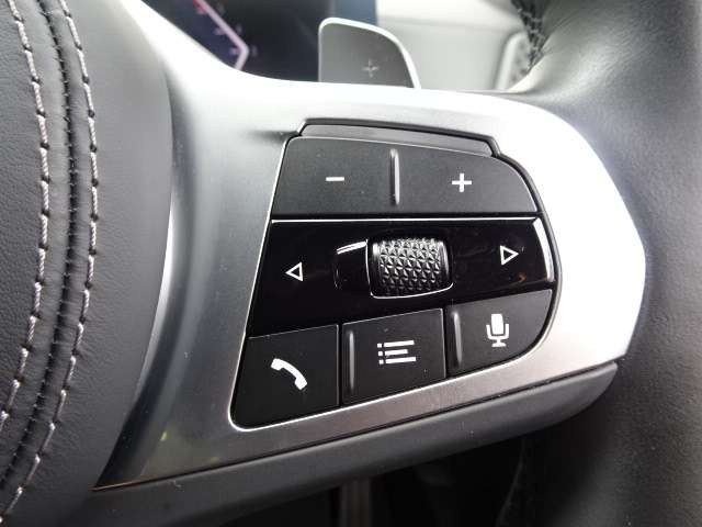 ＢＭＷ Ｘ７ Ｘドライブ４０Ｄ Ｍスポーツ ディーゼルターボ ４ＷＤ R5年 (近畿) 99