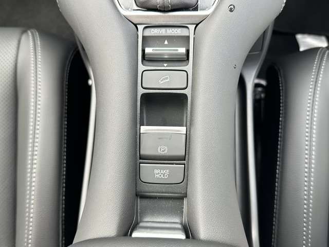 ホンダ ＺＲ−Ｖ １．５ Ｚ R5年 (東海) 99