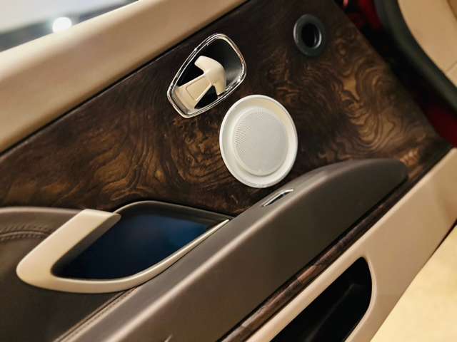 アストンマーティン ＤＢ１１ ローンチエディション H29年 (東海) 99