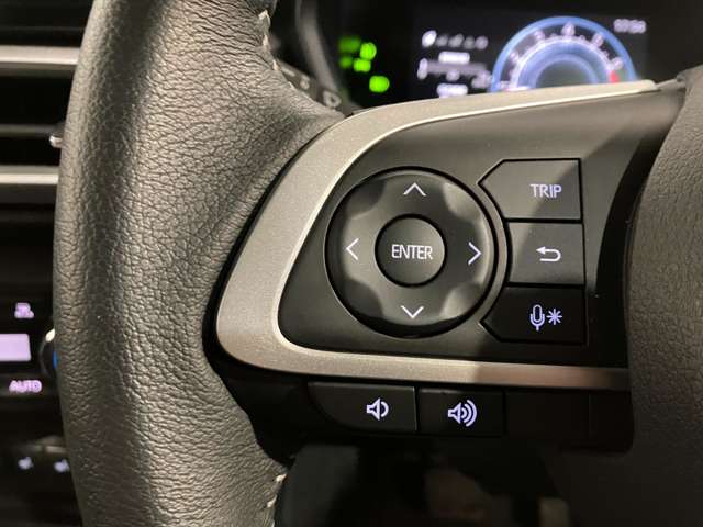 トヨタ ライズ １．０ Ｚ ４ＷＤ R4年 (北海道) 99