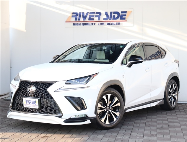 レクサス ＮＸ３００ ３００ ４ＷＤ H29年 (関東) 99
