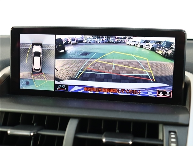 レクサス ＮＸ３００ ３００ ４ＷＤ H29年 (関東) 99