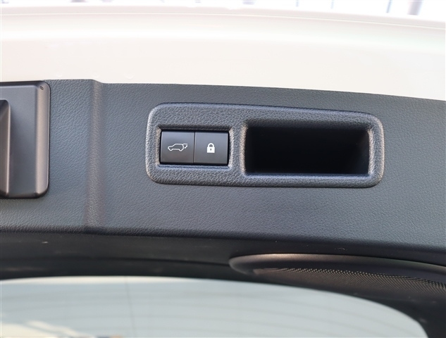 レクサス ＮＸ３００ ３００ ４ＷＤ H29年 (関東) 99