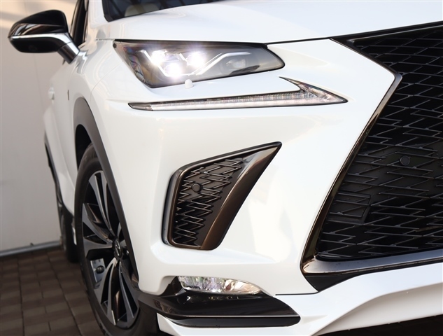 レクサス ＮＸ３００ ３００ ４ＷＤ H29年 (関東) 99