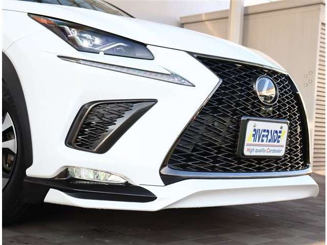 レクサス ＮＸ３００ ３００ ４ＷＤ H29年 (関東) 99