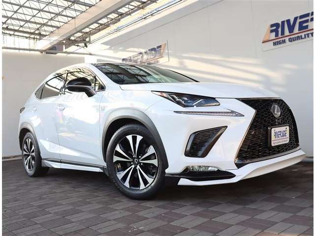 レクサス ＮＸ３００ ３００ ４ＷＤ H29年 (関東) 99