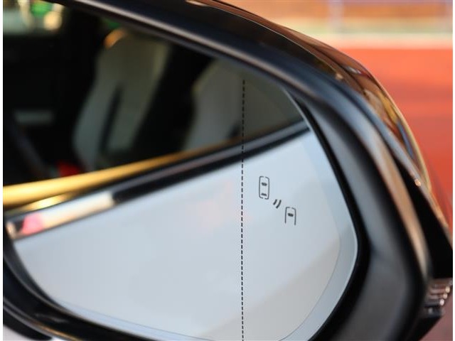 レクサス ＮＸ３００ ３００ ４ＷＤ H29年 (関東) 99