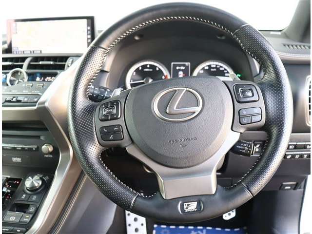 レクサス ＮＸ３００ ３００ ４ＷＤ H29年 (関東) 99