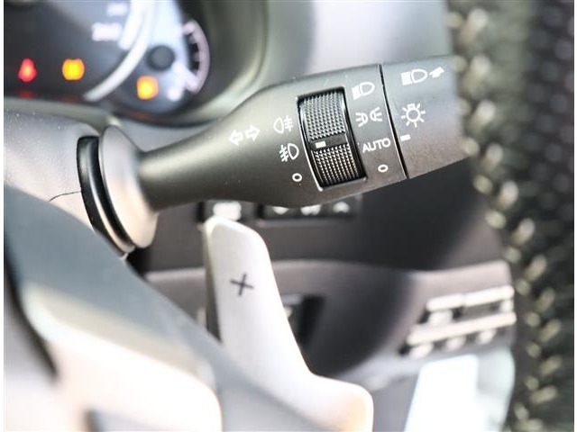 レクサス ＮＸ３００ ３００ ４ＷＤ H29年 (関東) 99