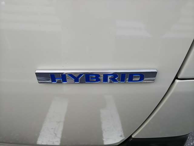 三菱 デリカ　ミニ ６６０ Ｇ プレミアム R6年 (関東) 99