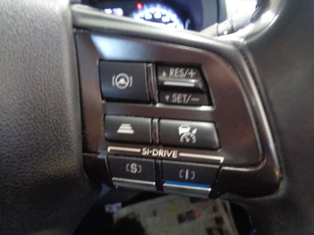 スバル レヴォーグ １．６ ＧＴ－Ｓ アイサイト ４ＷＤ H29年 (中国) 99